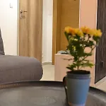 Apartment Olimpijska Kuca - A708 *