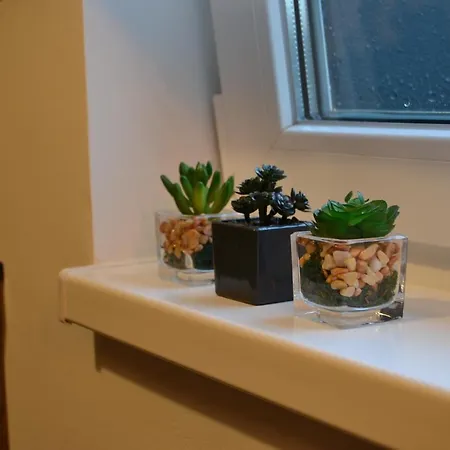 Olimpijska Kuca - A708 *